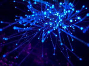 Lumen Challenges SciTechDaily: Inclusive CRM Training vs. Simplified Interfaces